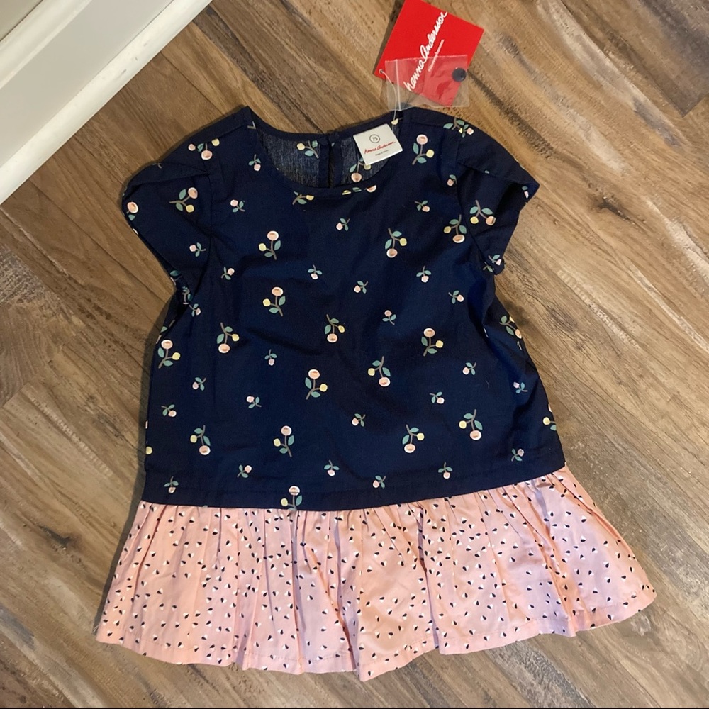 Hanna Andersson Floral Dress size 75